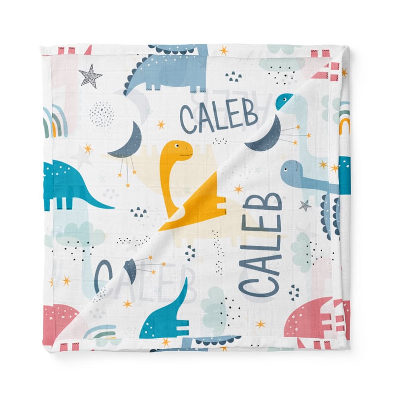 Dinosaur Dreams Swaddle Folded