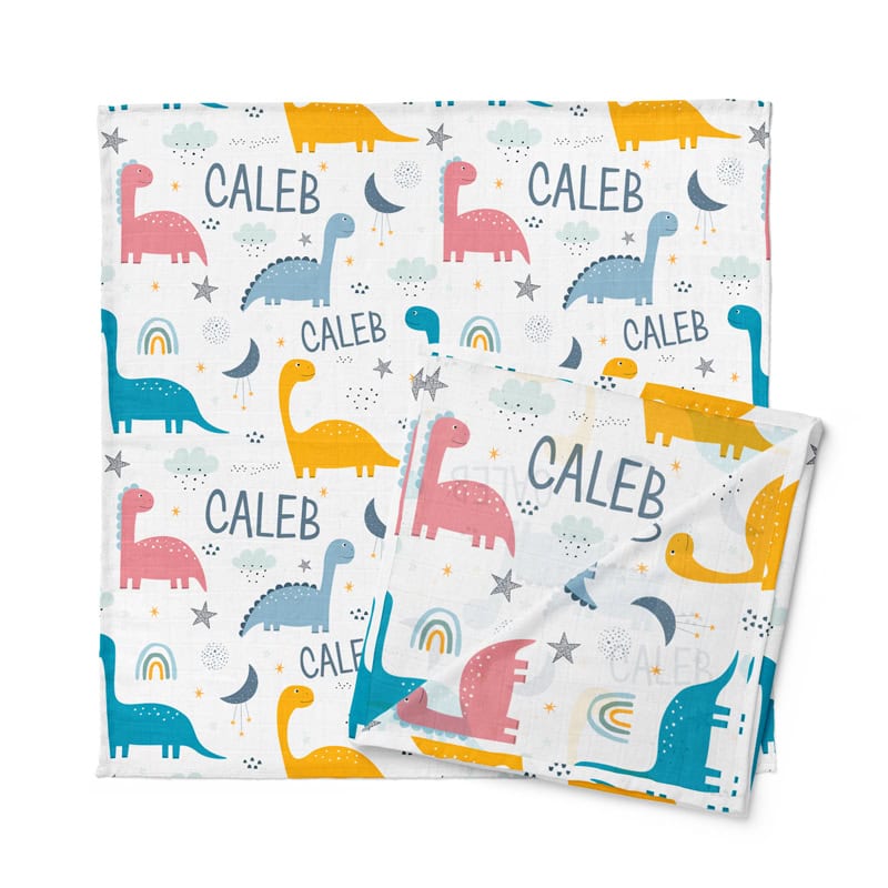Dinosaur Dreams Swaddle